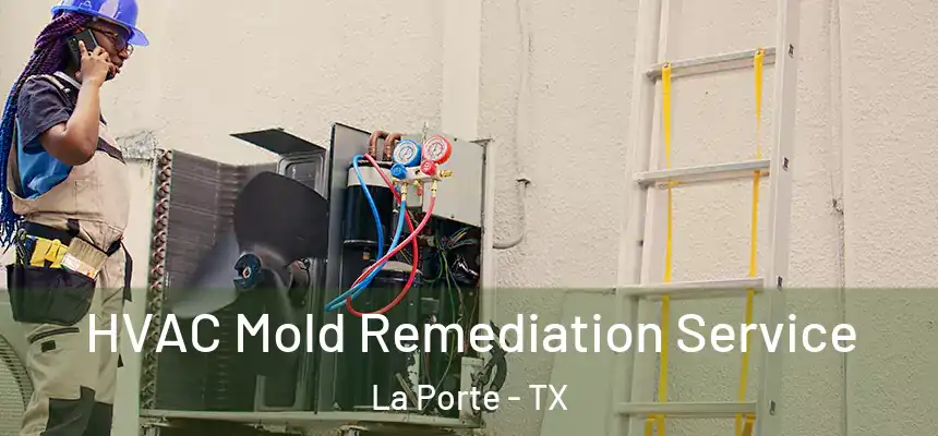  HVAC Mold Remediation Service La Porte - TX