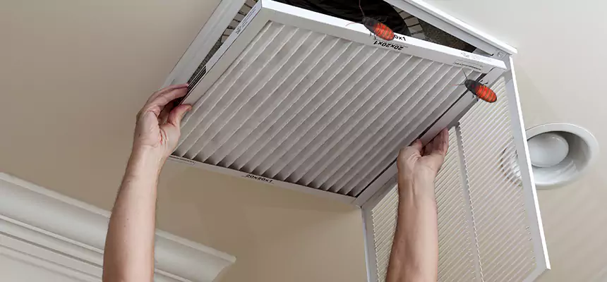 Preventive Cockroach-Proofing for Ducts in La Porte