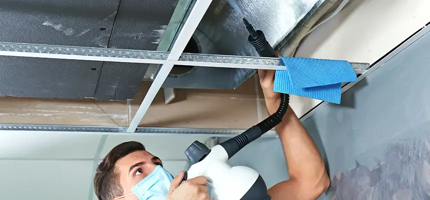 Our Air Duct Rodent Removal Services in La Porte, TX