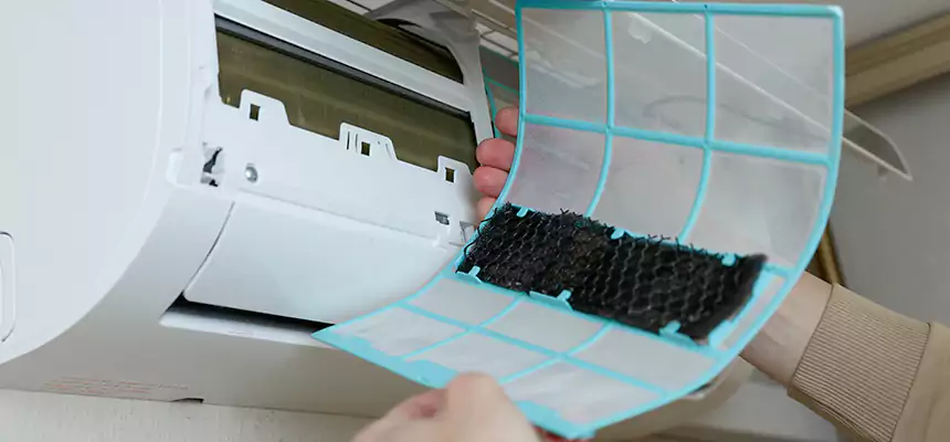 Gentle Ductwork Odor-Control Pet Dander Duct Cleaning in La Porte, TX