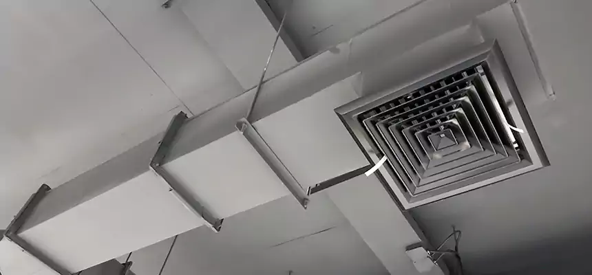 Our Rodent Droppings In Vents Services in La Porte, TX