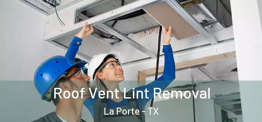  Roof Vent Lint Removal La Porte - TX
