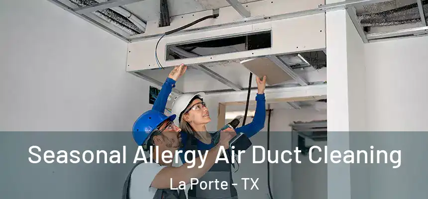  Seasonal Allergy Air Duct Cleaning La Porte - TX