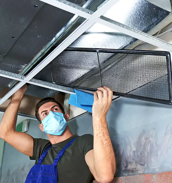 Professional Air Duct Pollen Cleaning in La Porte, TX