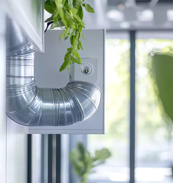 Professional Eco-Safe Dryer Vent Cleaning in La Porte, TX