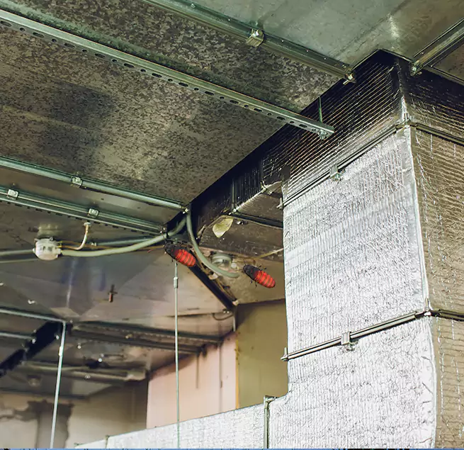 Why Homeowners & Businesses Trust Us in La Porte, TX?