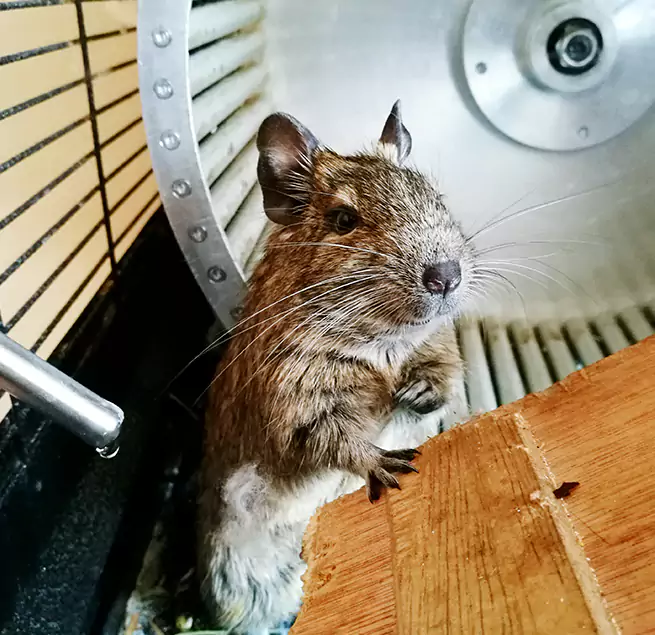 Why Homeowners & Businesses Trust Us La Porte, TX?