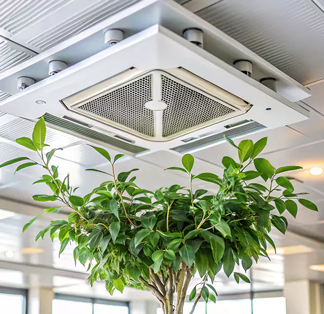 Why Homeowners & Businesses Trust Us in La Porte, TX