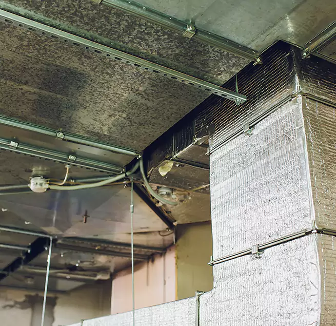 Why Homeowners & Businesses Trust Us in La Porte, TX?